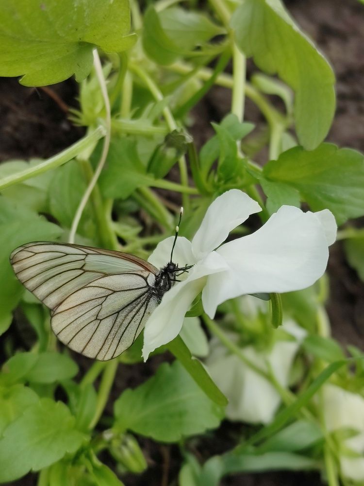 Photograph by Elena Chandran