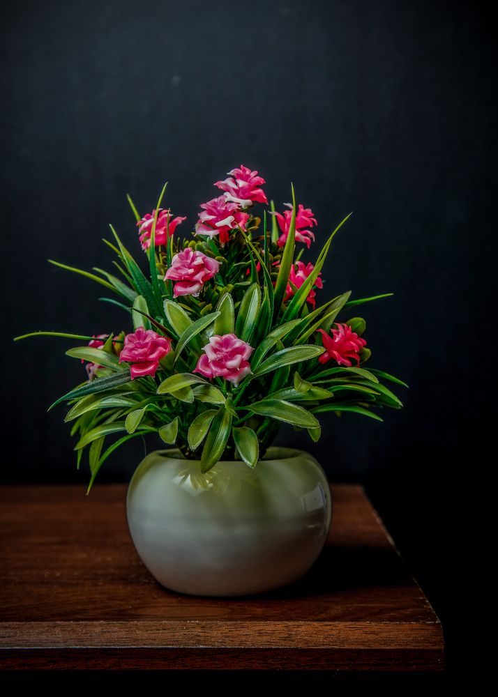 Photograph by Cherakkara Reshmi