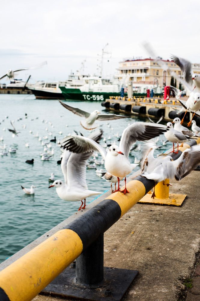 Photograph by Мария Ткаченко