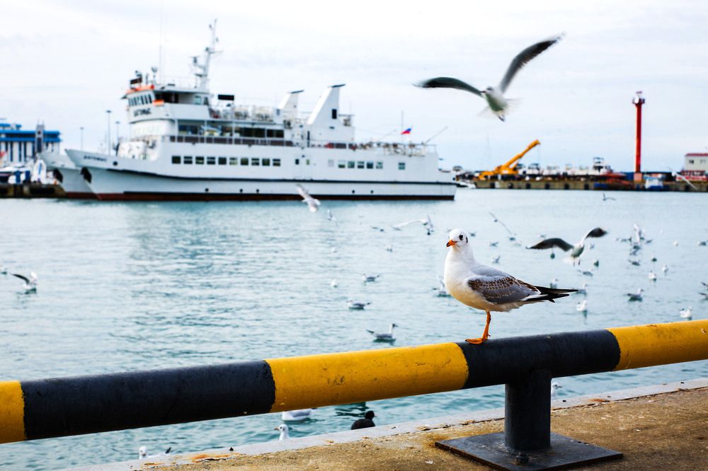 Photograph by Мария Ткаченко