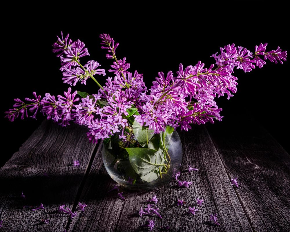 Photograph by Евгений Жуланов