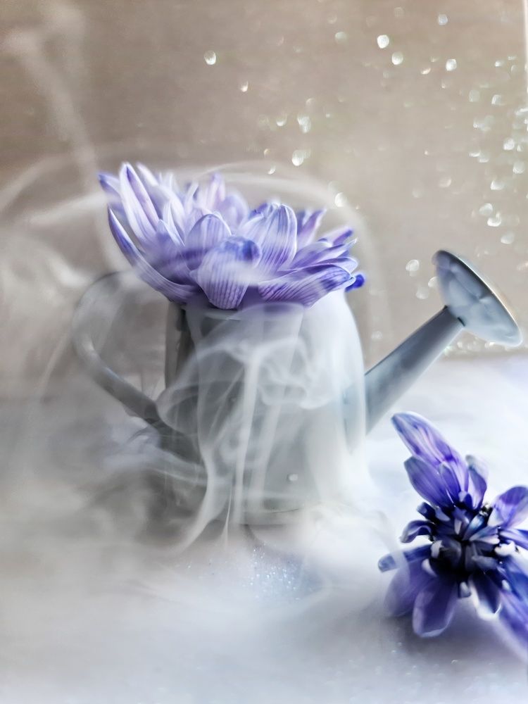 Photograph by Светлана Смирнова