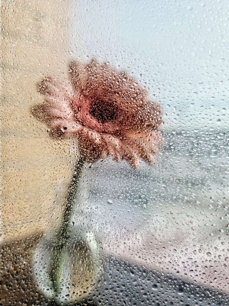 Photograph by Светлана Смирнова