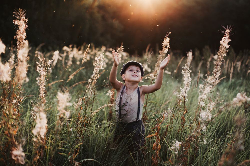 Фотография автора Анна Беляева