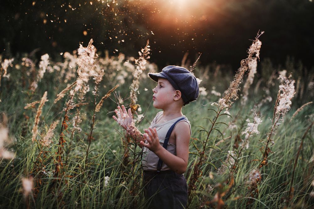 Фотография автора Анна Беляева