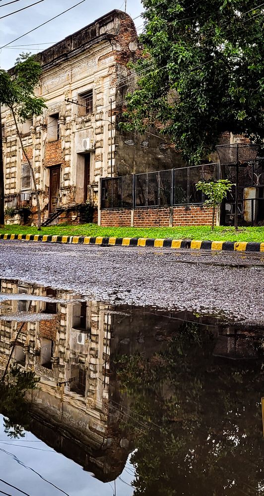 Photograph by Vanesa Silva