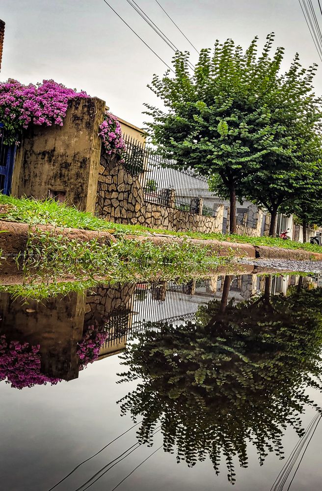 Photograph by Vanesa Silva