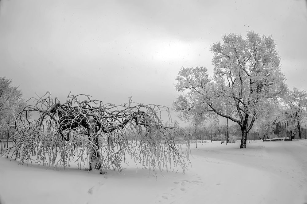 Photograph by Белькова Елена