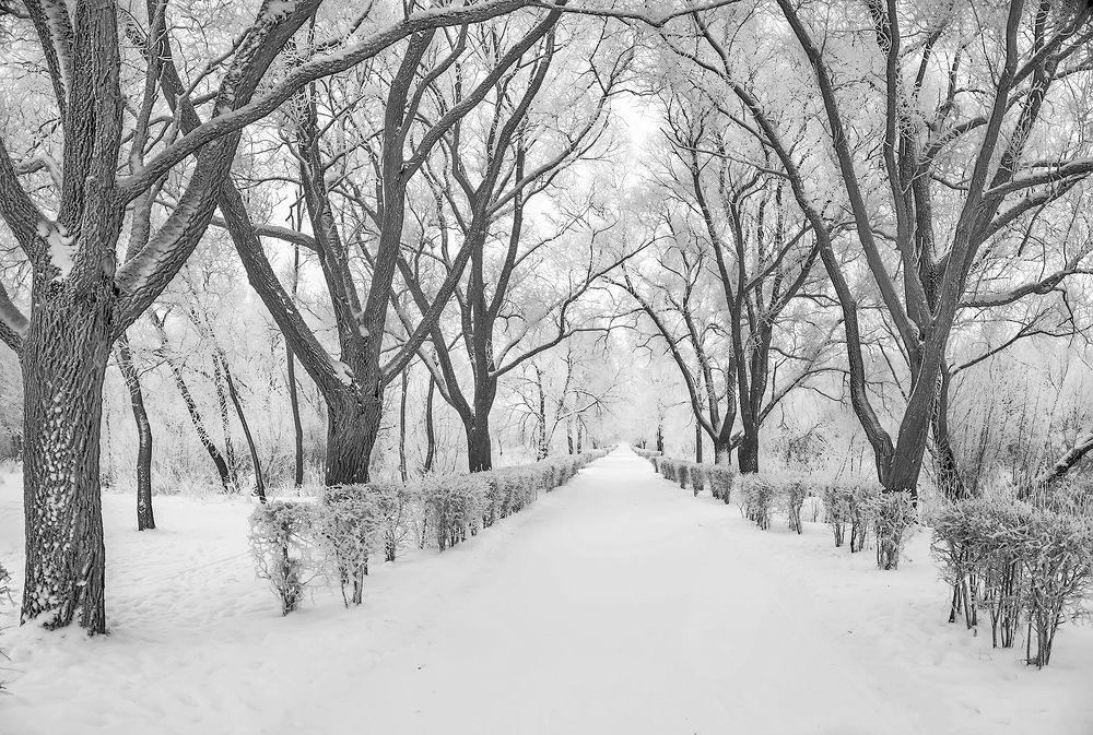 Photograph by Белькова Елена