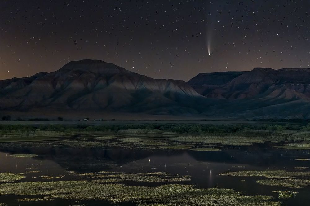 Фотография автора FATIH GONUL