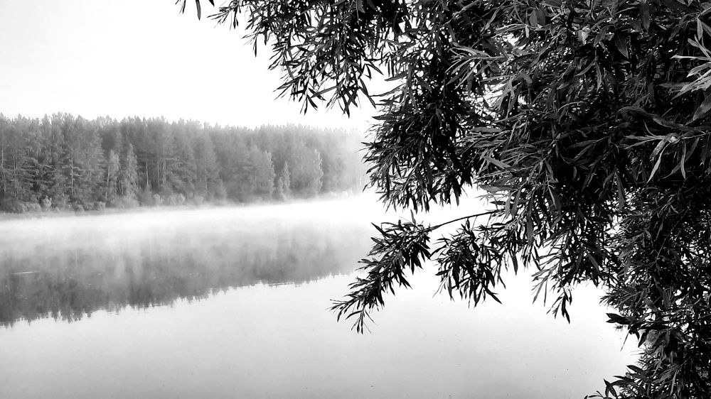 Раннее утро.