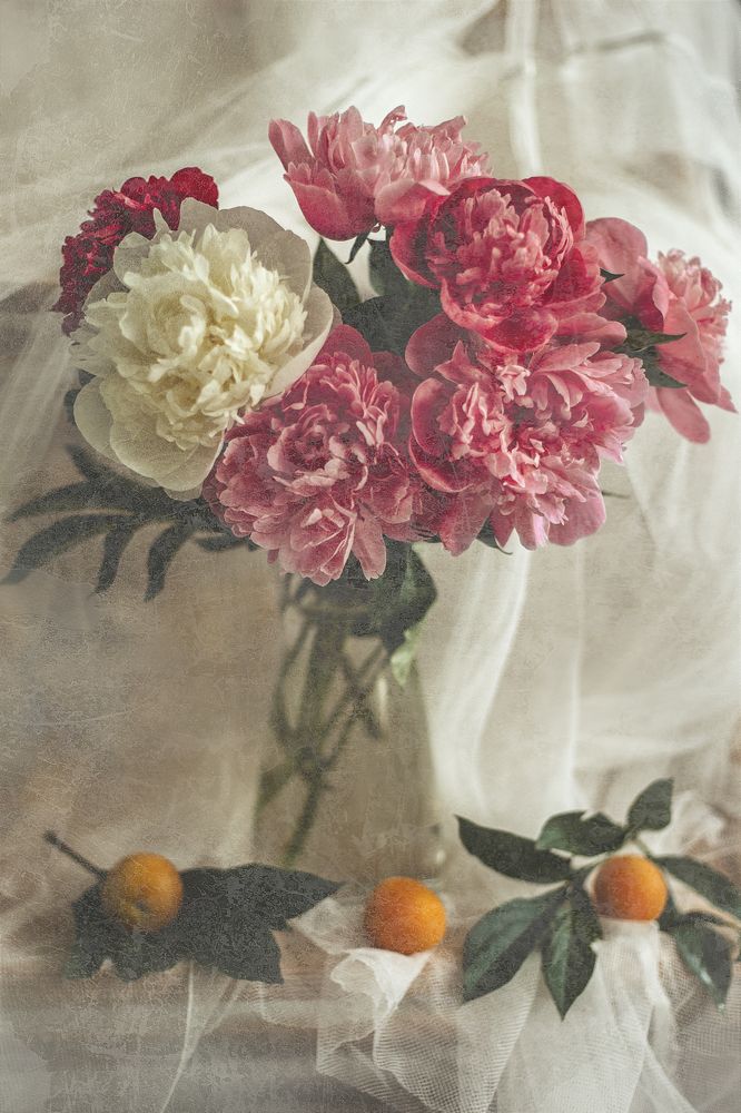 Photograph by Алена