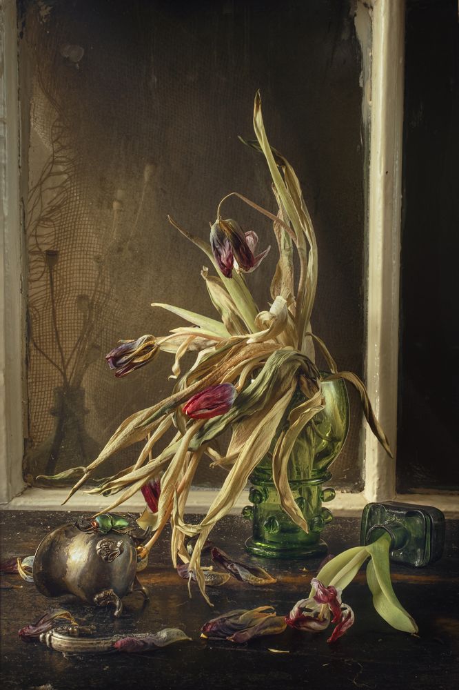 Photograph by Natalia Ricci