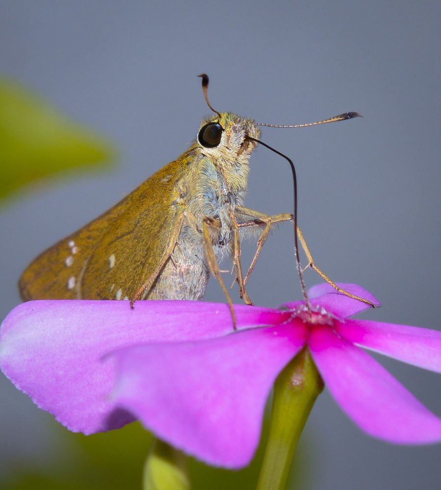 While Enjoying a drink