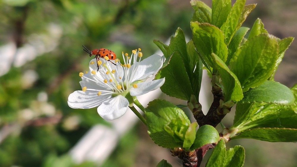 Photograph by Екатерина Ботникова