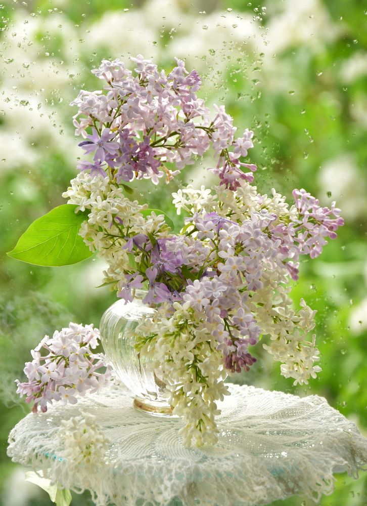 Photograph by Ирина Алексеева