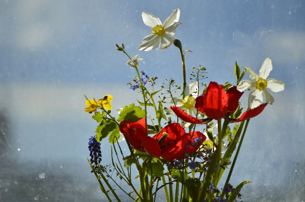 Фотография автора Клавдия Васильева