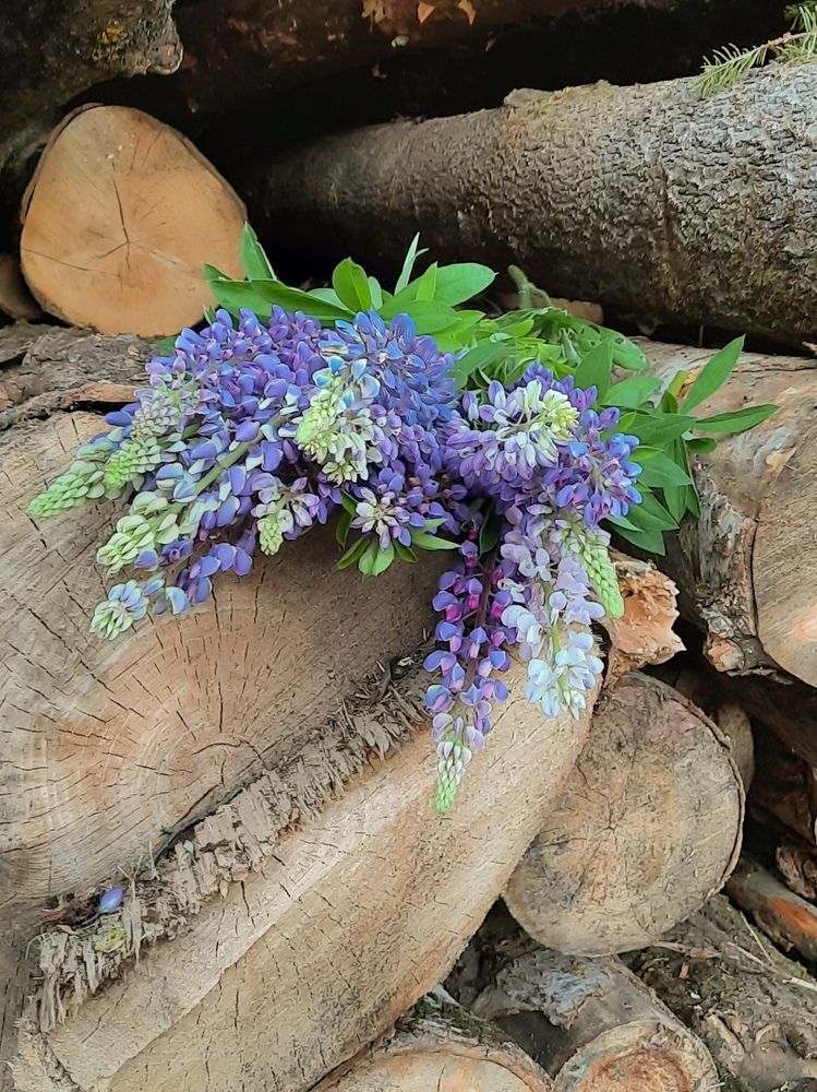 Photograph by Ирина Забродина