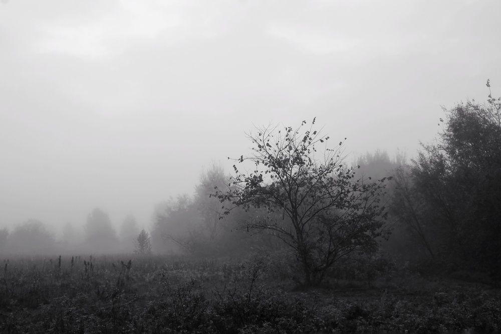 Photograph by Виктория Хмара