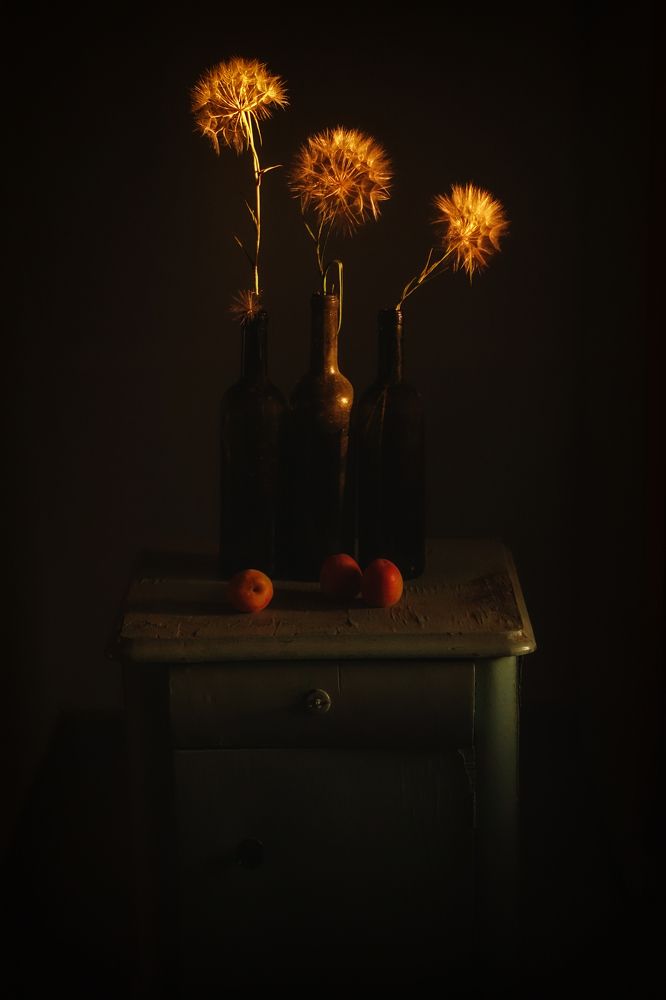 Photograph by mustafa yagci