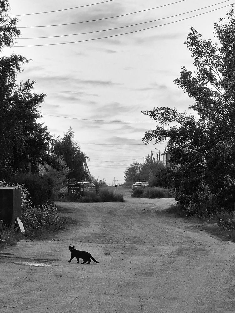 Photograph by Любовь Толстова