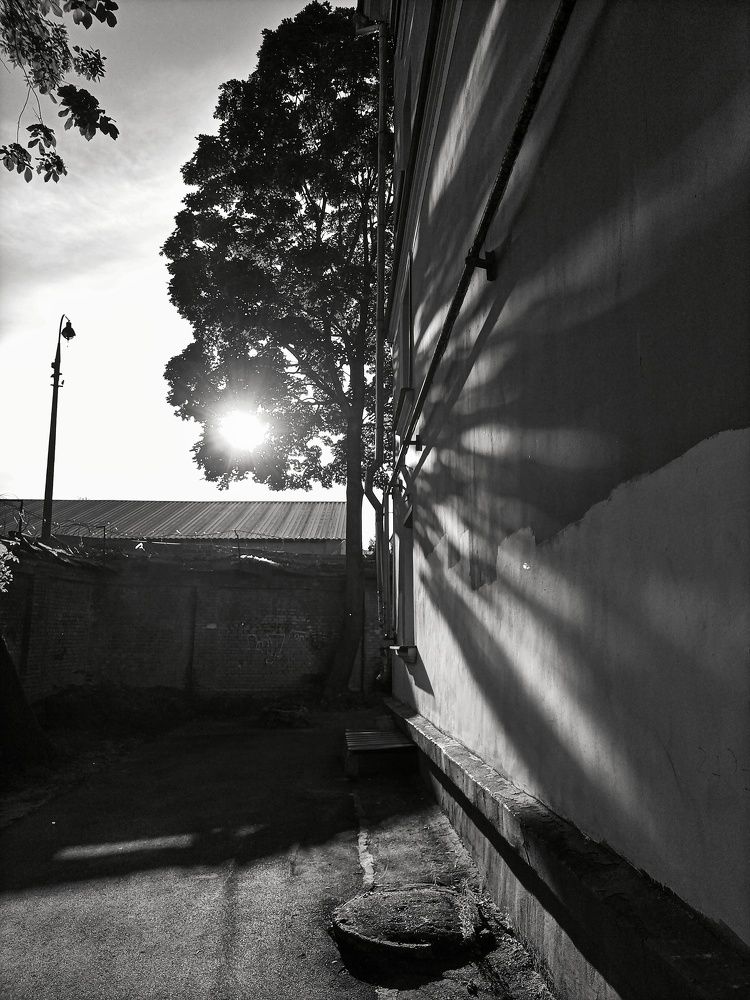 Photograph by Станислава