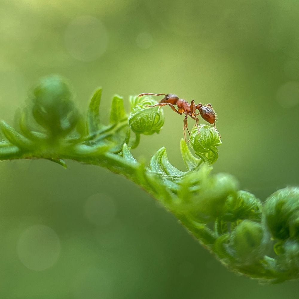 Photograph by Анна Яковлева