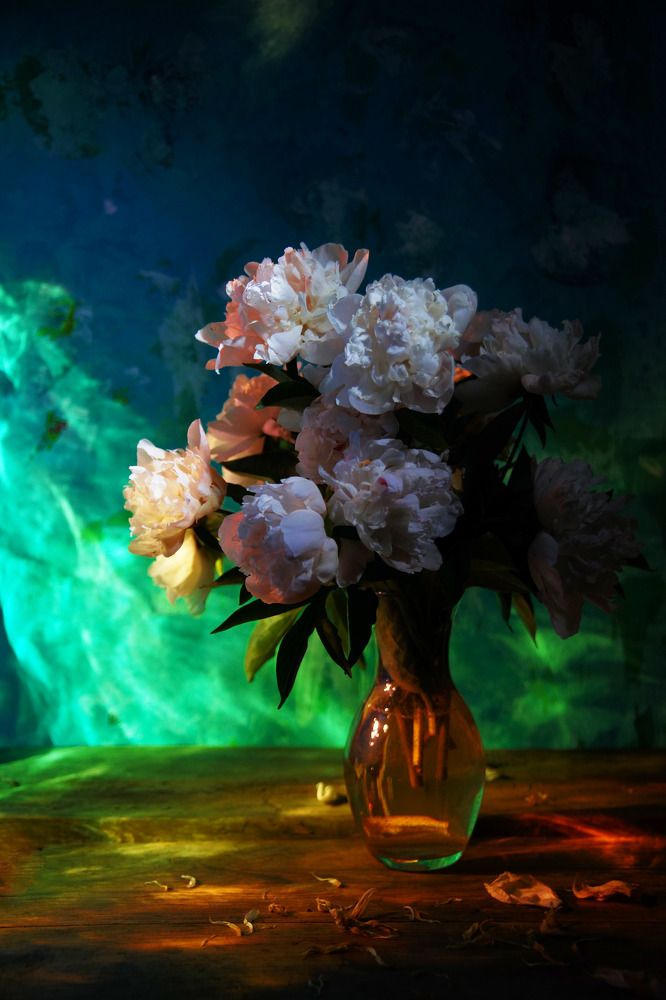 Photograph by Елена