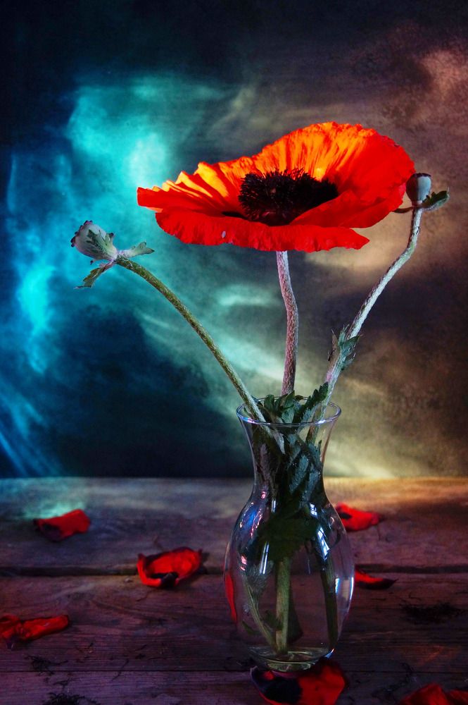 Photograph by Елена