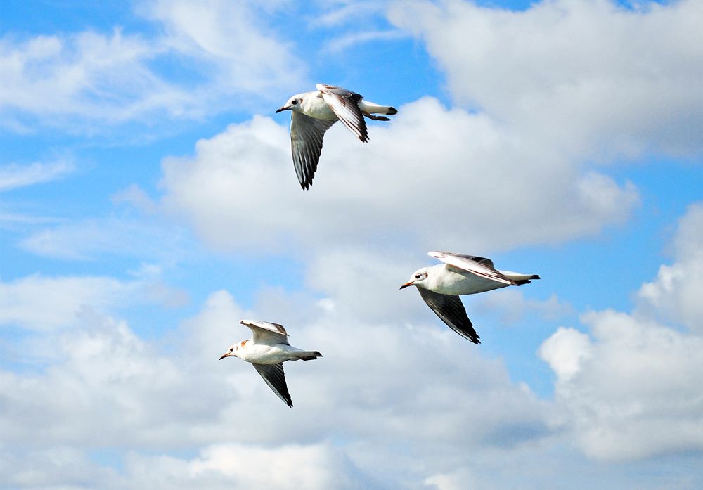 Photograph by Алексей