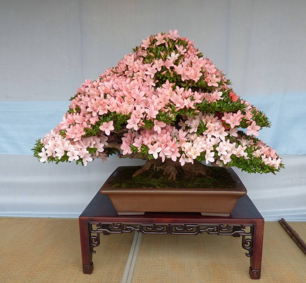 Photograph by Pjotr Alekseev