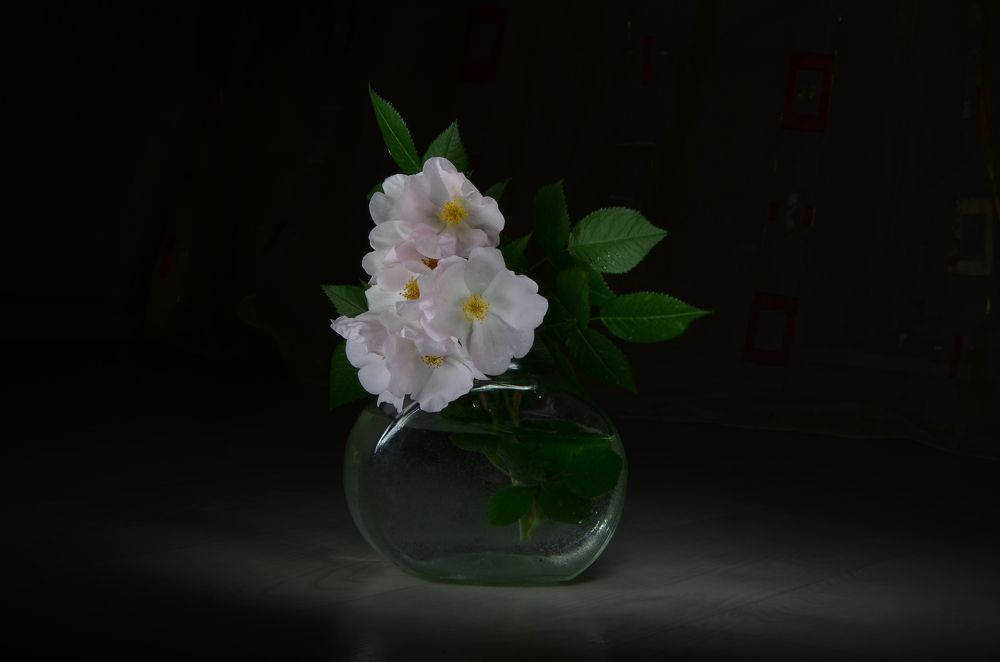 Photograph by Ольга Айдагулова