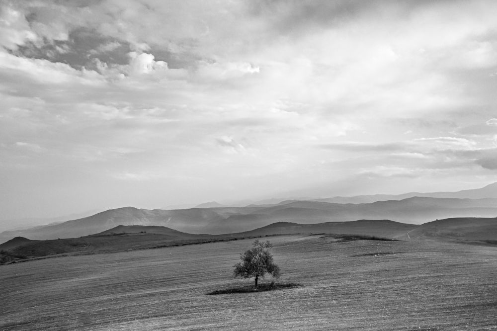 Photograph by Aleksandr Ivanov