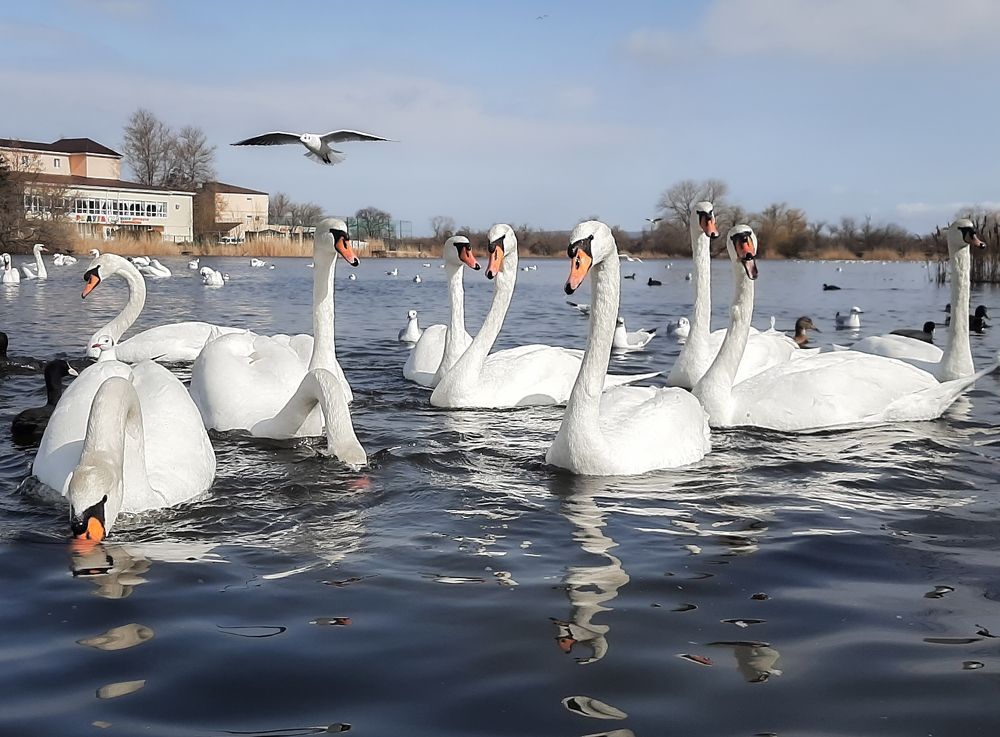 Photograph by Руслан Такушинов