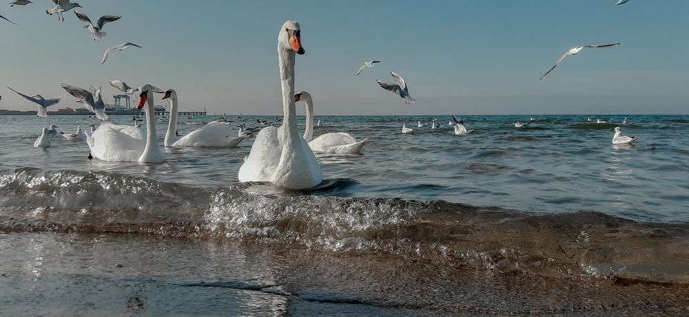 Photograph by Руслан Такушинов