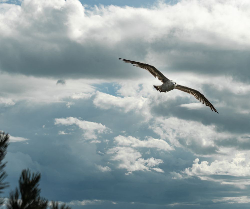 Photograph by Руслан Такушинов