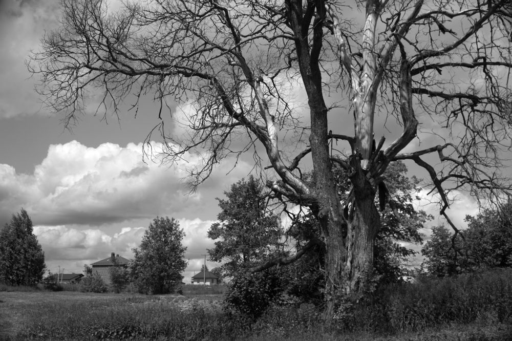 Photograph by Измаил Ефимов