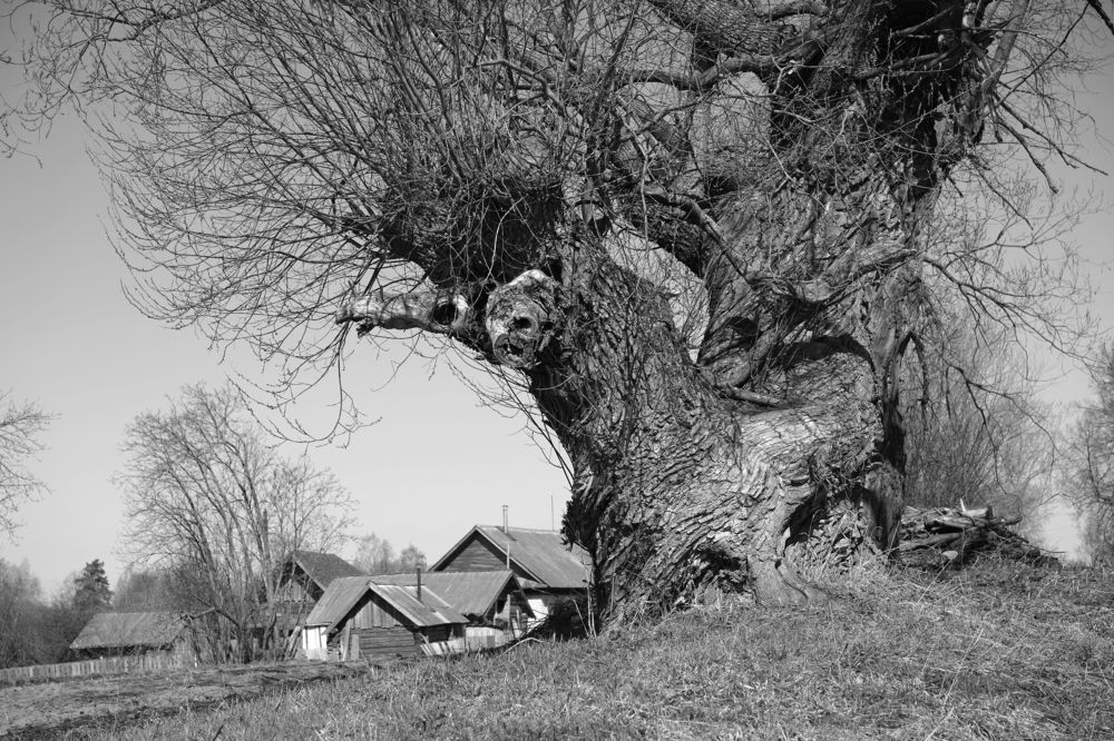 Photograph by Измаил Ефимов