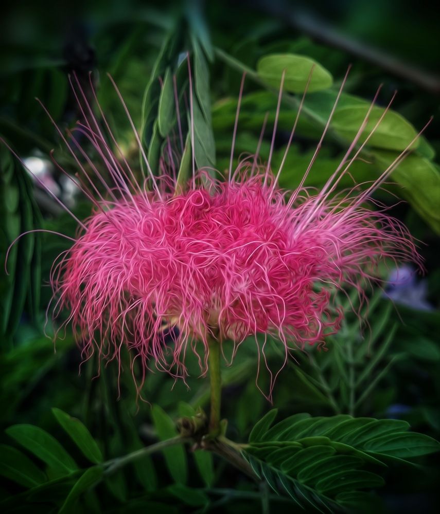 Photograph by Polina Svirida