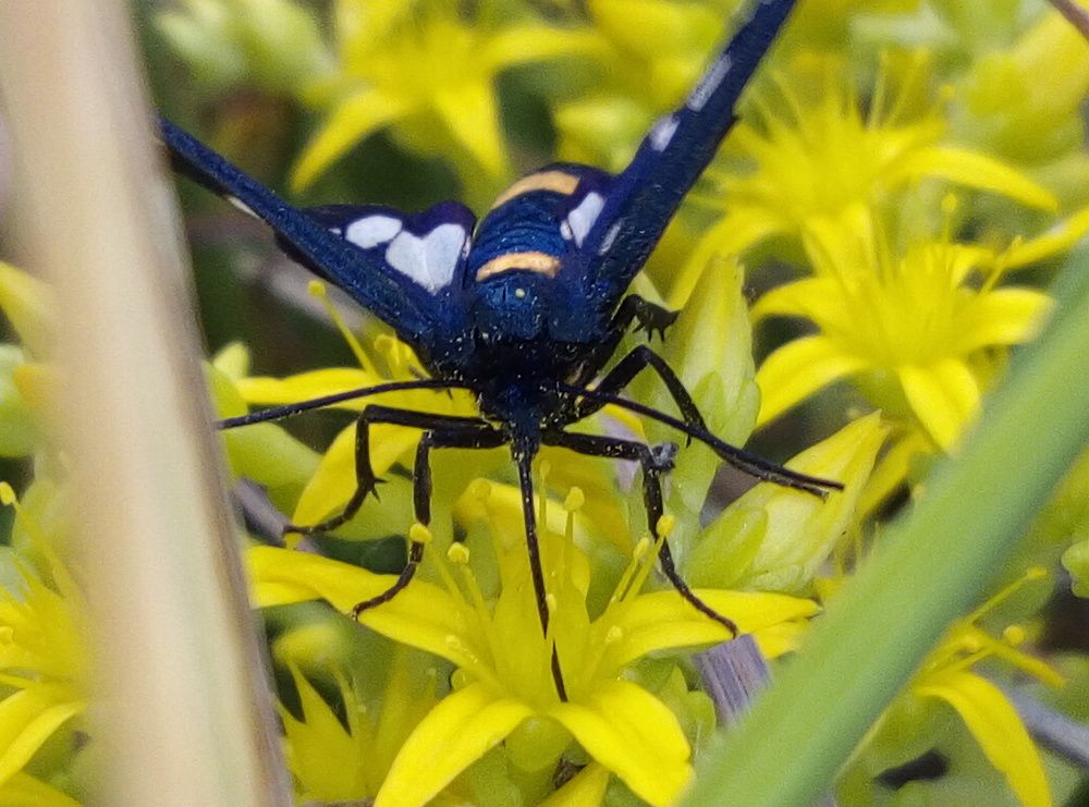 Photograph by Евгений Артемьев