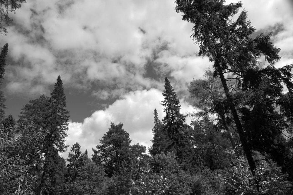 Photograph by Измаил Ефимов