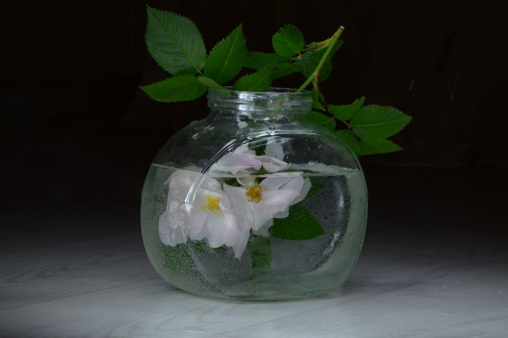 Photograph by Ольга Айдагулова