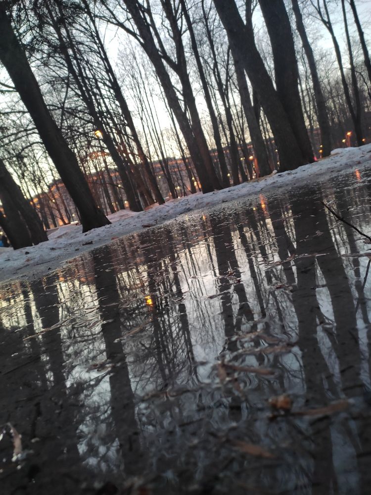 Photograph by Алена