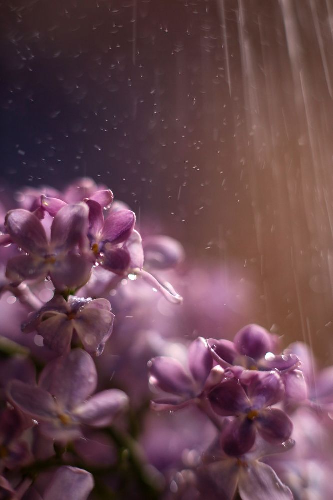 Photograph by Анастасия Харичкина