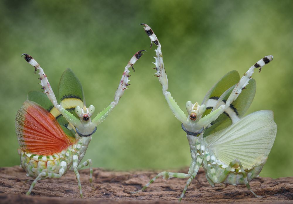 Photograph by way pang