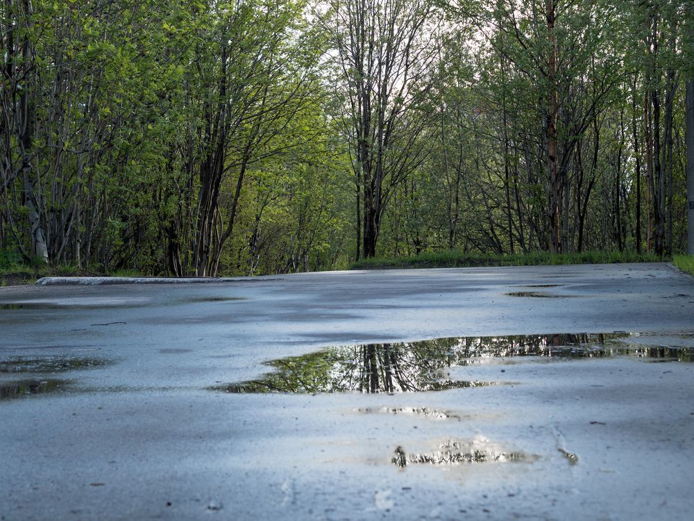 Photograph by Анна Шейко