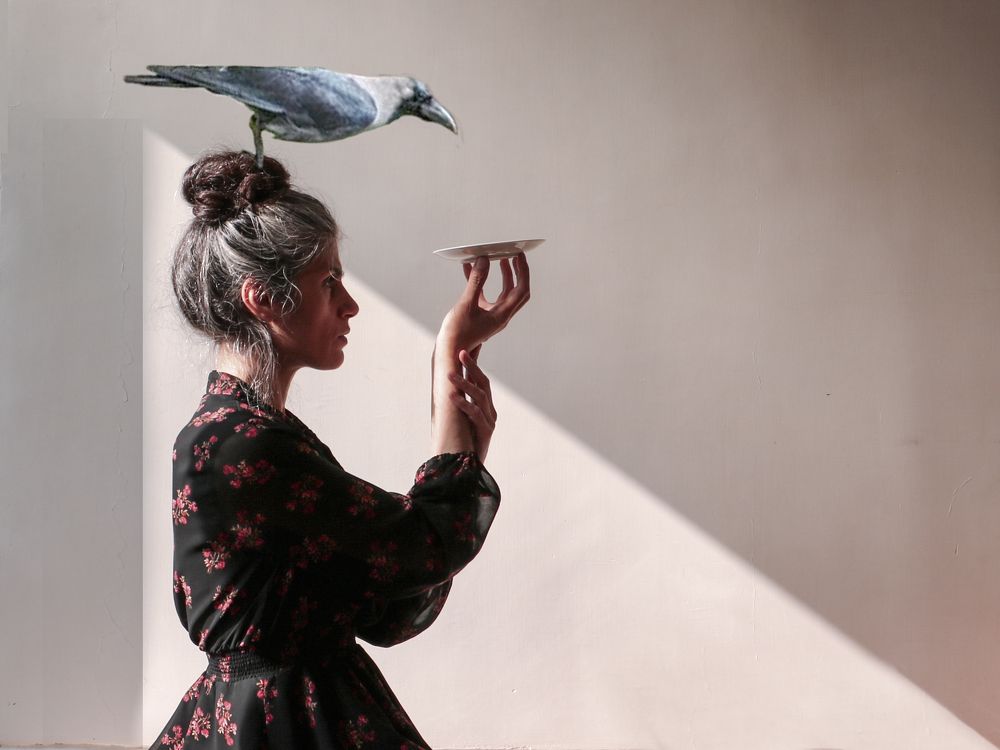 Photograph by Vida khani