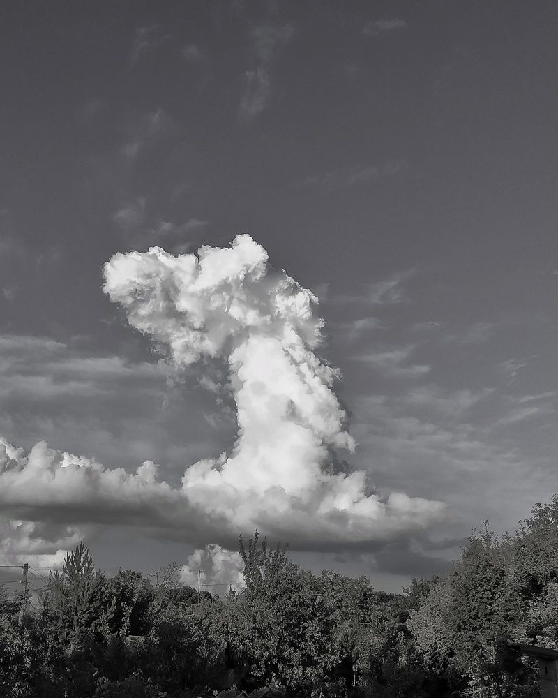 Photograph by Александр Панин