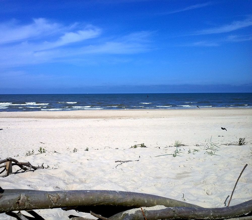 Photograph by Dmitrij Zykunov