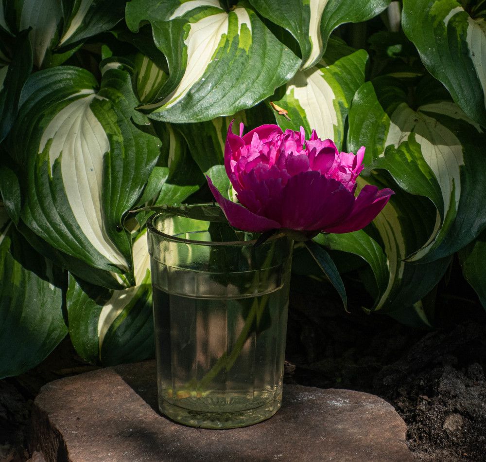 Photograph by Игорь Криулин